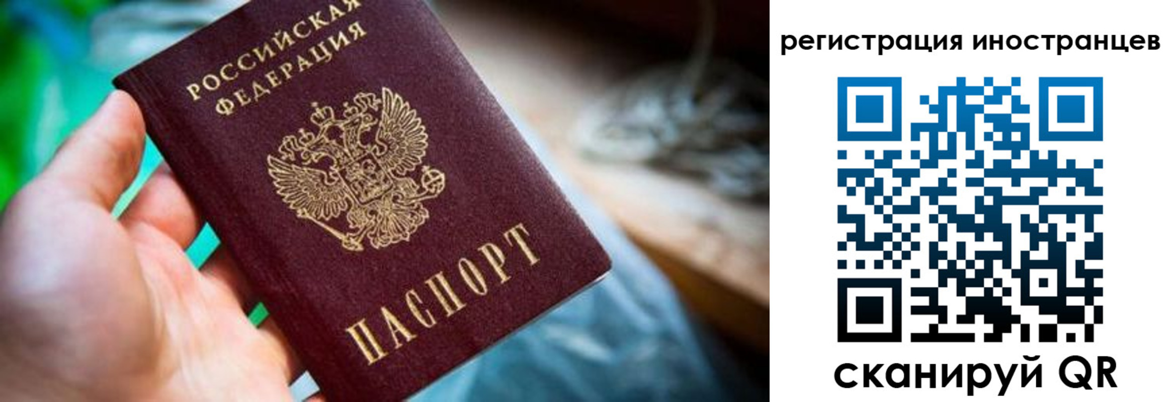 регистрация для школы в Благодарном